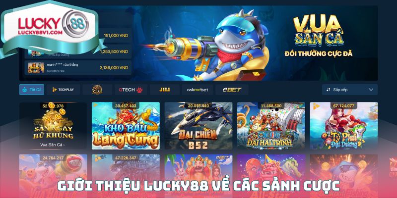 Giới thiệu Lucky88 về các sảnh cược